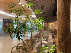 -云水瑶意境云南菜餐厅(大悦城店)