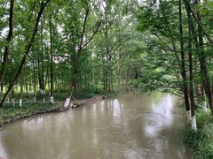 -桤木河湿地公园