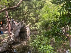 -复旦大学附属华山医院(总院)