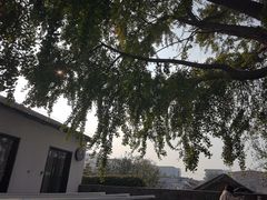 -自如ZSPACE四合院艺术餐厅