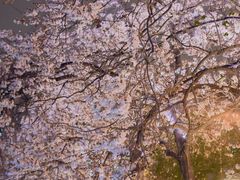 -红星桥(地铁站)