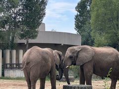 -鄂尔多斯野生动物园