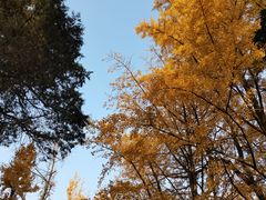 -灵谷景区