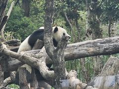 -武汉动物园