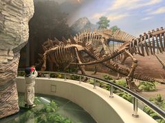 -延庆地质公园博物馆