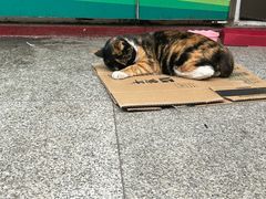 -小谭豆花(西大街店)