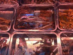 -绝味鸭脖(甲来路店)