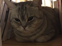 -小时光咖啡馆(开森度假森林店)