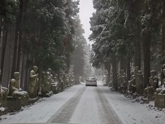 -武陵山森林公园