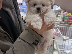 -银座商城(青岛中心店)