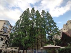 -一尺花园(安和花园店)