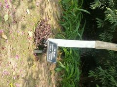 android_upload_pic-厦门悦华酒店