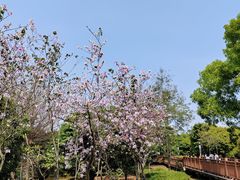 -立新湖公园