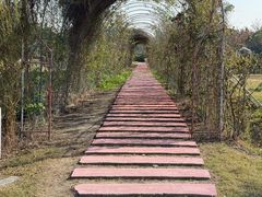 -嘉北郊野公园