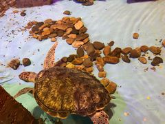 -波塞冬旅游度假区