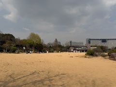 -青枫公园