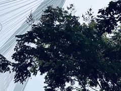 -武昌江滩