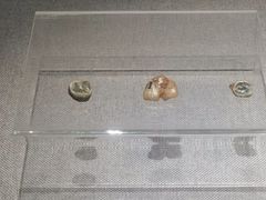 -北京周口店北京人遗址博物馆