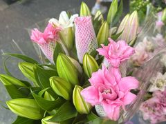 -循礼门鲜花花市(武汉循礼门店)