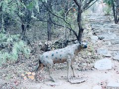 -周口店北京人遗址公园