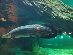 -华夏文旅海洋公园