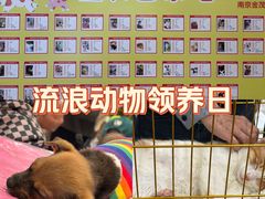 -金茂览秀城
