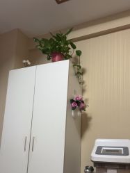 -Dr.林醫生产后修复·配方产康(南京江宁万达店)