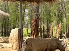 -北京野生动物园