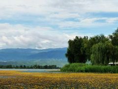 -西昌邛海湿地