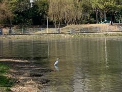 -美兰湖景区
