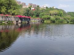 -重庆彩云湖湿地公园