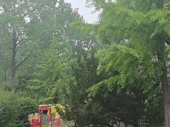 -秦皇岛野生动物园