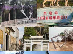 -长沙黑麋峰国家森林公园