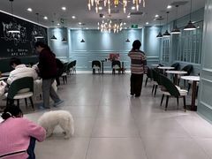 -安格丽娜·狗咖·猫咖羊驼咖(春熙路百盛商场店)