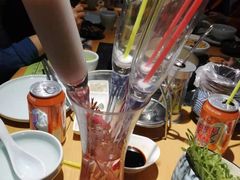 -洪氏嗨捞·广东猪肚鸡·椰子鸡火锅(西咸万象城店)