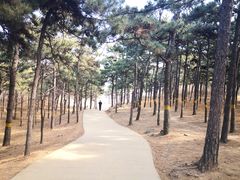 -北京西山国家森林公园