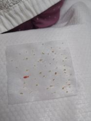 -韩国淼美颜皮肤管理官方直营店