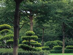 -白鹭洲公园