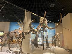 -国家自然博物馆