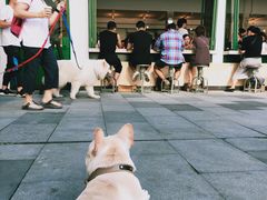 -RAC BAR(安福路店)