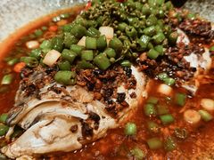 -西郊5号·Maggie 5