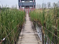 -河北村民俗体验园