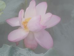 -阳澄湖半岛旅游度假区
