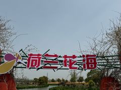 -荷兰花海