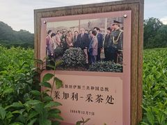 -中国茶叶博物馆(双峰馆区)