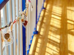 -奇乐全日制婴儿学校·早教