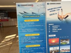 -盐城丹顶鹤湿地生态旅游区