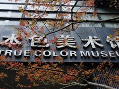 -苏州本色美术馆