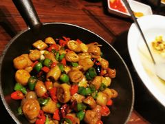 -老板恋上鱼(荣盛广场店)