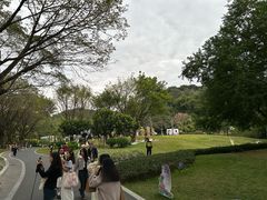 -云溪植物园